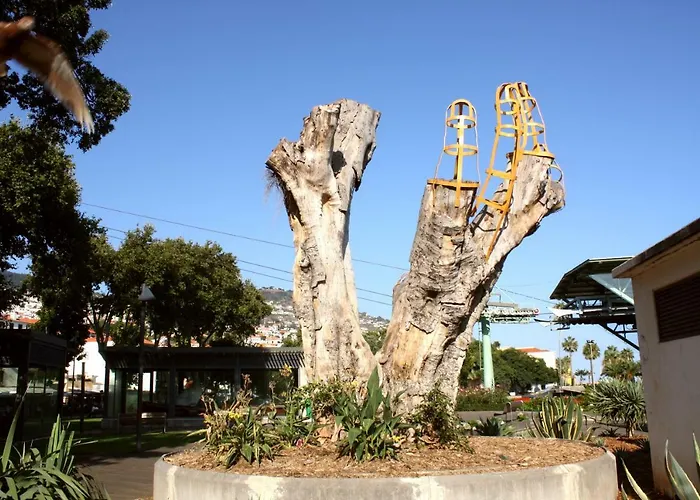 度假居 Old Town House Madeira