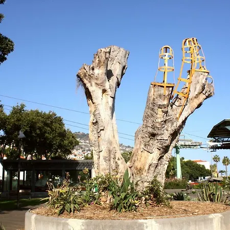 בית נופש Old Town House Madeira